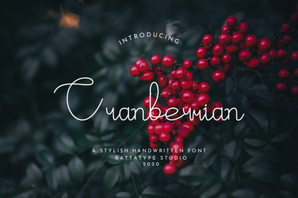 Cranberrian: A Luxurious Script Font for Editorial Mood
