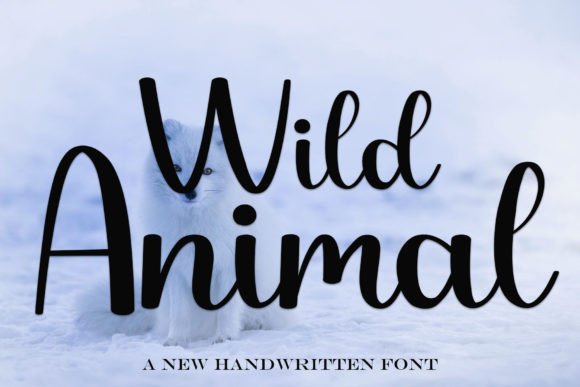 Wild Animal Font: A Timeless Handwritten Typeface for Modern Marketing